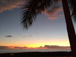 Kona Sunset with palm tree.